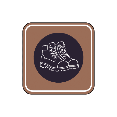 Bota
